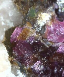 Jiusion Original USB Microscope Carrying Case Bag for Jiuison WiFi & USB Digital Microscope, Also Compatible with Other Brands Handheld Microscope For Generic Microscope 31 51S3lwd8TnL 1