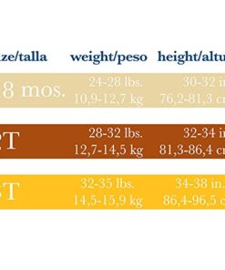 Gerber Baby Boys Infant Toddler 4 Pack Potty Training Pants Underwear 3T Sport Stripe 4 51S51cGprL