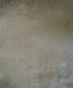 Carpet Miracle - Carpet Cleaner Shampoo Solution for Machine Use, Deep Stain Remover and Odor Deodorizing Formula, Use On Rug Car Upholstery and Carpets (32FL OZ) Spring Mint Scent 32 Fl Oz (Pack of 1) 48 51SKR0U0KBL