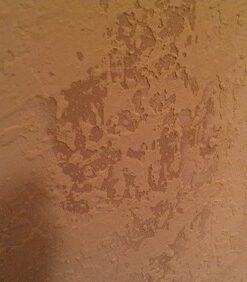 Homax Group Inc 4565 Wall Texture Knockdown Water Based Spray, 25 Fl Oz (Pack of 1), White 3 51SVMWdfl4L