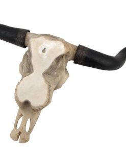 Long Horn Cow Skull Wall Hanging Longhorn Steer 22 51SzV0mVlrL