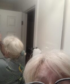 Sizobi 3 Pcs Bird Nest Magic Hair Clip,Hair Accessories for Women, Expandable Hair Bun Maker, Hair clips for Thick Thin hair, Hair Clips for Women and Girls, Ponytail Holders, Hair Bun Clip Series A 40 51T1hmsOKuL 1