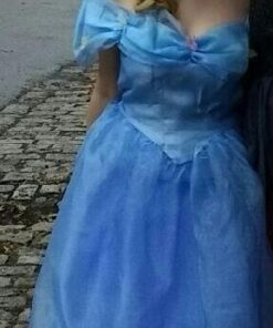 Disney Disguise Women's Cinderella Movie Adult Deluxe Costume Large Blue 25 51T4Ih4ayL