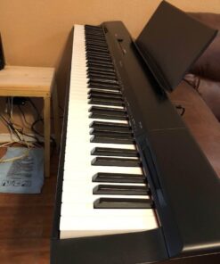 Casio Privia PX-160BK 88-Key Full Size Digital Piano with Power Supply, Black 44 51TCMp4c6L