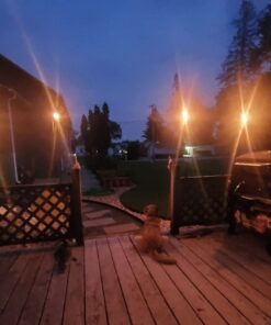 TIKI Brand BiteFighter Mosquito Repellent Torch Fuel for Outdoors, 100 oz, 1216155 27 51TYUVMbzKL