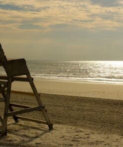 FRESHPAPER Keeps Fruits & Vegetables Fresh for 2-4x Longer, 8 Reusable Food Saver Sheets for Produce (1 Pack), Made in the USA by The FRESHGLOW Co 35 51TblzaEqLL