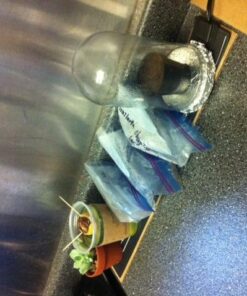 Wrap Around Kombucha Heater Belt | Propagate Pro Brewing and Fermentation Heat Mat Warmer | Keeps Your SCOBY Happy and Productive with Stickon Thermometer 2 3 inch x 20 inch 38 51TgCC5sSYL