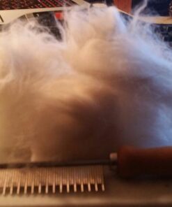 Coastal Pet Safari Cat Shedding Comb - Prevents Hairballs - Daily-Use Cat Deshedding Brush - For Cats with Short and Long Hair - One Size 28 51Th9jTBzL