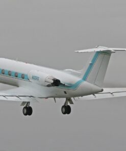 PURE SYNERGY Pure Radiance C | Organic Vitamin C Capsules | 100% Natural, Whole Food, Non-GMO Supplement with Camu Camu Extract | for Immune and Collagen Support (90 Capsules) 35 51TofWa7opL