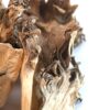 Spice Jungle Maitake Mushrooms (Hen of the Woods) - 4 oz. 4 Ounce - Maitake Mushrooms (Hen-of-the-woods) 29 51TxiHxwIeL