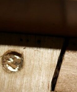 Alternative view of Bedlam Insecticide Spray - Kills Bed Bugs, Lice, and Dust Mites (17 oz)