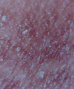 Dino Lite USB Hanheld Digital Microscope, 10x-220x Magnification 0.3MP/1.3MP/5.0MP True Resolution, Windows/Mac/iOS/Android Software Included, Supports PC, Tablet, Mobile Devices 38 51UGGn3E39L