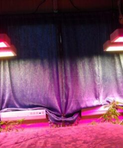 Roleadro LED Grow Light, 1200W 2nd Generation Plant Light Full Spectrum for Indoor Greenhouse Hydroponic Plants Veg and Flower 22 51UIJ0l2H8L