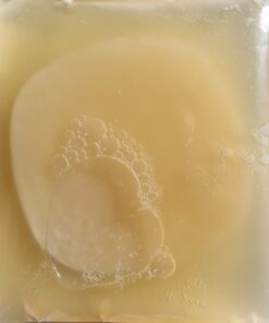 Alternative view of Scoby Kombucha FBA_LEPAZC5747 1 X Organic Kombucha Scoby-Live Culture Golden