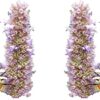 Anise Hyssop Seeds - Agastache foeniculum - 600 Seeds, 1/4 Gram - B42 7 51UQcrLnegL