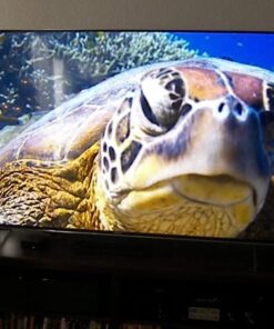 Sony STR-AN1000 7.2 CH Surround Sound Home Theater 8K A/V Receiver: Dolby Atmos, DTS:X, Digital Cinema Auto Calibration IX, Bluetooth, WiFi, Google Chromecast, Spotify connect, Apple AirPlay, HDMI 2.1 STR-AN1000 AV Receiver only 71 51Uft9hATWL