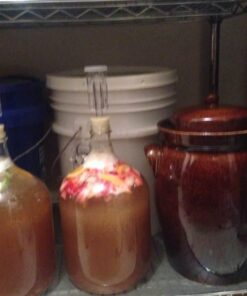 FastRack Stopper/Airlock 1 Gallon Glass Fermenter/Jug, Clear 1 Count (Pack of 1) 28 51UsRfMp9wL