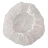 100 PCS--21", Disposable Bouffant (Hair Net) Caps, Spun-Bounded Poly, Hair Head Cover Net, Non-Woven, Medical, Labs, Nurse, Tattoo, Food Service, Health, Hospital 100 Count (Pack of 1) 19 51UtAifoilL