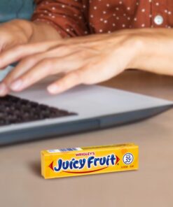 JUICY FRUIT Original Bubble Gum Chewing Gum Bulk Pack, 5 Stick (Pack of 40) 12 51UzwoynTqL