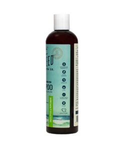 Seaweed Bath Co. Balance Shampoo, Eucalyptus Peppermint Scent, 12 Ounce, Sustainably Harvested Seaweed, Pro Vitamin B5, For Normal to Oily Hair 10 51VftgQXgbL