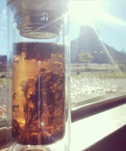 Sun's Tea 18oz Wide Mouth Ultra Clear Spill-proof Strong Double-wall 3-Piece Borrosilicate Glass Tumbler with Strainer and Lid (flat top lid) 27 51Vinh1djHL