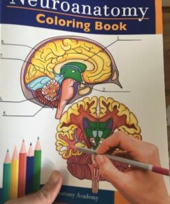Neuroanatomy Coloring Book: Incredibly Detailed Self-Test Human Brain Coloring Book for Neuroscience | Perfect Gift for Medical School Students, Nurses, Doctors and Adults 7 51VpAKIrk0L