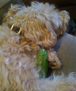 Archie McPhee Yodeling Pickle: A Musical Toy, Fun for All Ages, Great Gift, Hours of Mindless Entertainment 27 51WJ4TfDuL