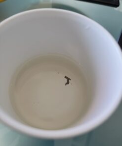 Urnex Original Urn and Brewer Cleaner - 100 (1 Ounce Packets) - Professional Coffee Equipment Cleaner for Air Pot Glass Bowl Server Stainless Steel Plastic Glass 12 51WJwYSUMbL