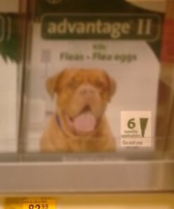 Advantage II XL Dog Vet-Recommended Flea Treatment & Prevention | Dogs Over 55 lbs. | 4-Month Supply 4-Pack 43 51WKC0O6gL