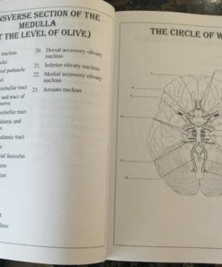Neuroanatomy Coloring Book: Incredibly Detailed Self-Test Human Brain Coloring Book for Neuroscience | Perfect Gift for Medical School Students, Nurses, Doctors and Adults 8 51WY2YtoVCL