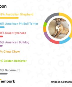 Embark Breed Identification Kit | Most Accurate Dog DNA Test | Test 350+ Dog Breeds | Breed ID Kit with Ancestry & Family Tree 47 51WcwSGqRRL