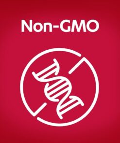 AZO Cranberry Urinary Tract Health Supplement, 1 Serving = 1 Glass of Cranberry Juice, Sugar Free Cranberry Pills, Non-GMO 100 Softgels 100 Count (Pack of 1) 34 51Ws286X1ZL