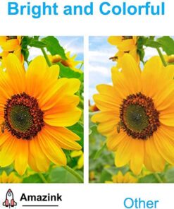 AMAZINK Compatible Replacement Ink Cartridge for Brother LC 203 Ink. Works with MFC-J480DW MFC-J880DW MFC-J4420DW MFC-J680DW MFC-J885DW Printers. 5 Pack (2xBlack, Cyan, Magenta, Yellow) 10 51Wskt yh3L