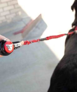 EzyDog Cujo Shock Absorbing Bungee Dog Leash - Best Dog Rope Training Lead - Reflective Trim for Nighttime Safety - Padded Pull Handle for Superior Comfort and Control (40", Black) 40-Inch 14 51WthJXVR4L