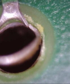 USB Digital Microscope, Teslong 10X to 200X Magnification Camera with Stand, Portable Handheld Electronic Coin Magnifier, Soldering Camera Ear Otoscope 49 51X s1fsjpL