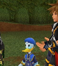 Kingdom Hearts HD 2.5 ReMIX - PlayStation 3 Standard 28 51X0DM3a7GL