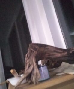 Presa Premium Paint Brushes Set, 5 Piece 14 51XJHsPlh1L