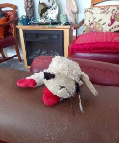 Multipet Plush Dog Toy, Lambchop, 10", White/Tan, Small 10" 48 51XUZSR4wL