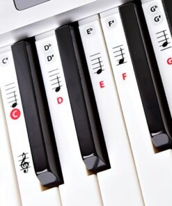 Best Reusable Piano Key and Note Keyboard Stickers for Adults & Children’s Lessons, FREE E-BOOK, Great with Beginners Sheet Music Books, Recommended by Teachers to Learn to Play Keys & Notes Faster!