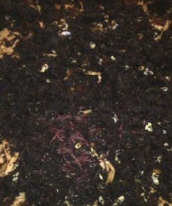 Uncle Jim's Worm Farm Red Wiggler Composting Worms Mix for Garden Soil or Fishing | Pack of Compost Worms Improves Soil Structure and Quality for Healthier Gardens | 250 Count Seafood 250 Count (Pack of 1) 27 51XuYB2FzL