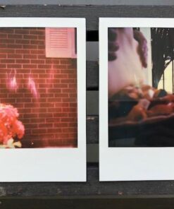 Polaroid Originals Color Film for 600 (4670) 49 51XyK1bmPCL