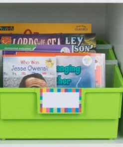 Really Good Stuff Picture Book Library Bins With Dividers - Neon Set Of 4 17 51YDfbSwiAL