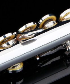 Glory Silver Plated Intermediate Open/Closed Hole C Flute with Case,Tuning Rod,Polish Cloth,Joint Grease,a pair of Gloves and screw driver 16 Open Hole 12 51YUw Cho0L