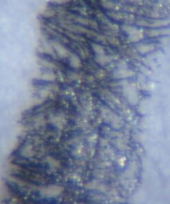 Carson 60x-75x MicroMax LED Lighted Pocket Microscope (MM-200) MicroMax (MM-200) 31 51Z0jKqCtdL