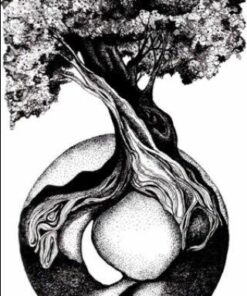 Copic Markers Multiliner Fine Pigment Based Ink, 4-Piece Set 4 Count (Pack of 1) Black Fine 21 51Z0uBnv4uL