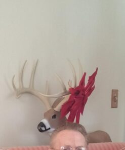 Shooter Buck 3D Deer Archery Target 3-D Buck Target 34 51ZBP9iablL