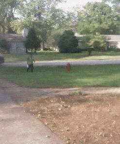 BV-Tech Gigabit Power Over Ethernet PoE+ Injector | 30W | 802.3 af | Plug & Play | up to 325 Feet 30W PoE+ Injector 15 51ZEyEcN9L