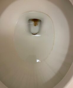 PUMIE Toilet Bowl Ring Remover, TBR-6, Grey Pumice Stone with Handle, Removes Unsightly Stains from Toilets, Sinks, Tubs, Showers, Pools, Safe for Porcelain, 1 Pack 1 Count (Pack of 1) 63 51ZP6LAzUeL