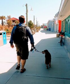 Musher's Secret Dog Paw Wax 60 g (2.1 oz) - Moisturizing Dog Paw Balm that Creates an Invisible Barrier That Protects and Heals Dry Cracked Paws - All-Natural with Vitamin E and Food-Grade Ingredients 2.1 Ounce (Pack of 1) 49 51ZTbCHMvzL