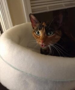 K. T. Manufacturing Mysterious Kuddle Kup Cat Bed, White 24 51ZXjLZj1L